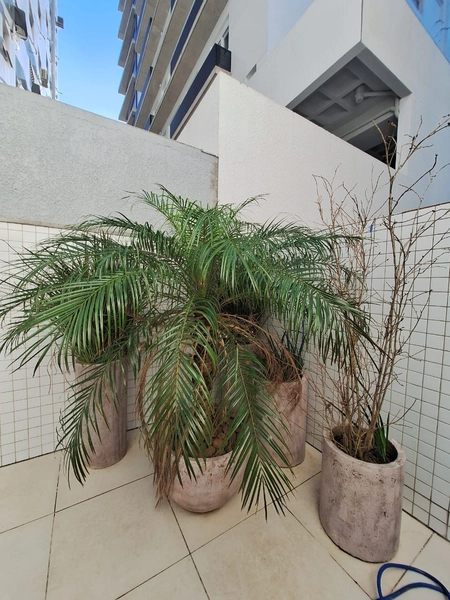 BAIRRO NAVEGANTES !!  APTO DIFERENCIADO, 77M² PRIVATIVOS, COM GARDEN: 6ª foto da galeria de imagens do imóvel