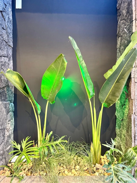 CASA BEIRA-MAR NOVA COM TERRAÇO E VISTA PARA O MAR: 9ª foto da galeria de imagens do imóvel