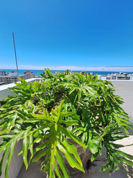 POSIÇÃO SOLAR TOTAL NORTE | VISTA DEFINIDA | LIVING INTEGRADO: 40ª foto da galeria de imagens do imóvel