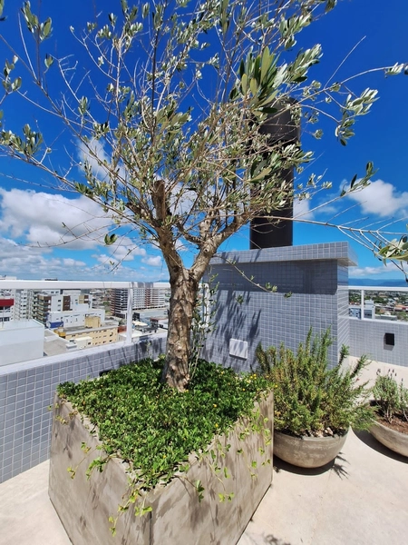 POSIÇÃO SOLAR TOTAL NORTE | VISTA DEFINIDA | LIVING INTEGRADO: 47ª foto da galeria de imagens do imóvel