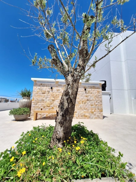 POSIÇÃO SOLAR TOTAL NORTE | VISTA DEFINIDA | LIVING INTEGRADO: 39ª foto da galeria de imagens do imóvel