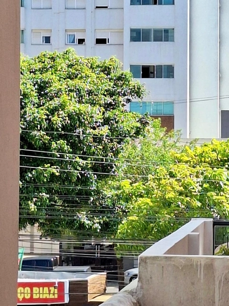 APARTAMENTO EM FRENTE À PRAÇA DO MINI GOLFE | PERFIL DE RENDA: 16ª foto da galeria de imagens do imóvel