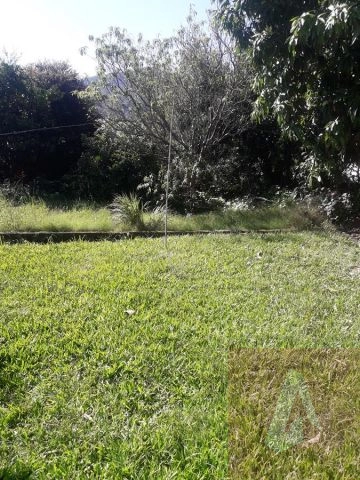 : 11ª foto da galeria de imagens do imóvel