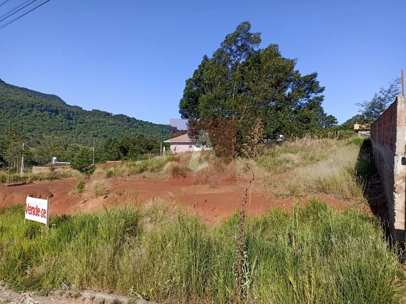 Terreno bairro Liberdade: 1ª foto da galeria de imagens do imóvel