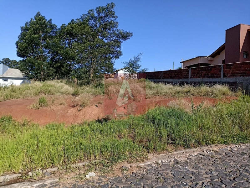 Terreno bairro Liberdade: 2ª foto da galeria de imagens do imóvel