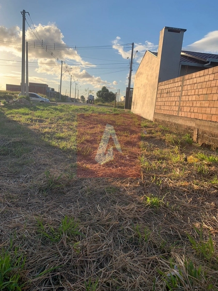 Terreno Em Campo Bom: 10ª foto da galeria de imagens do imóvel