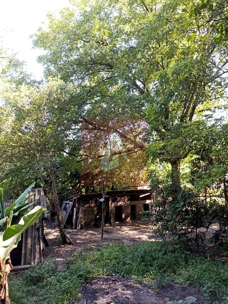 Propriedade Rural em Rolante: 20ª foto da galeria de imagens do imóvel