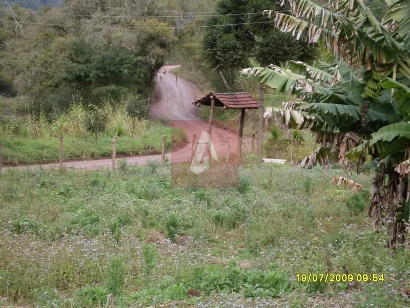 Propriedade Rural em Rolante: 6ª foto da galeria de imagens do imóvel