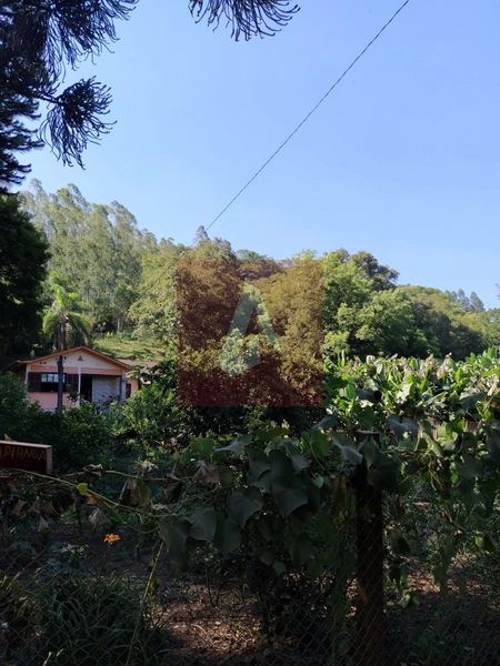 Propriedade Rural em Rolante: 11ª foto da galeria de imagens do imóvel