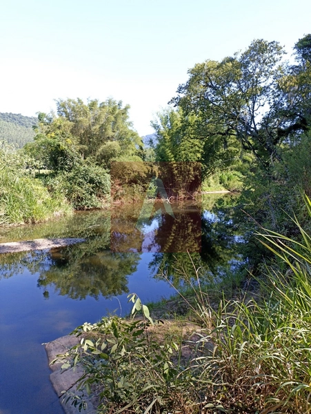 Propriedade Rural em Rolante: 18ª foto da galeria de imagens do imóvel