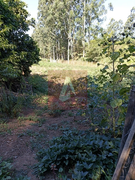 Propriedade Rural em Rolante: 15ª foto da galeria de imagens do imóvel