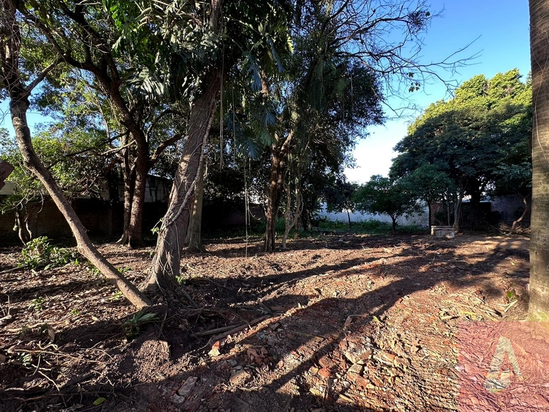 TERRENO BEM LOCALIZADO EM SAPIRANGA: 1ª foto da galeria de imagens do imóvel