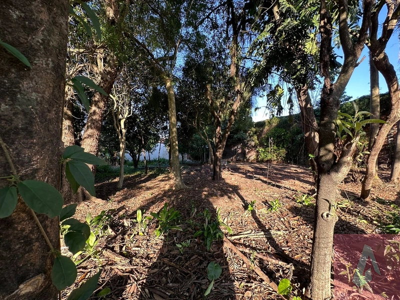 TERRENO BEM LOCALIZADO EM SAPIRANGA: 2ª foto da galeria de imagens do imóvel