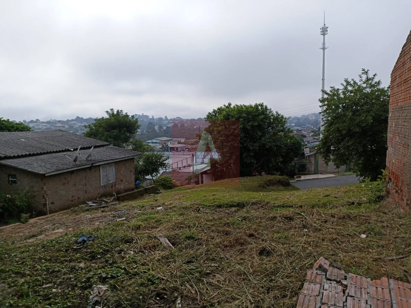 Terreno em sapiranga: 3ª foto da galeria de imagens do imóvel