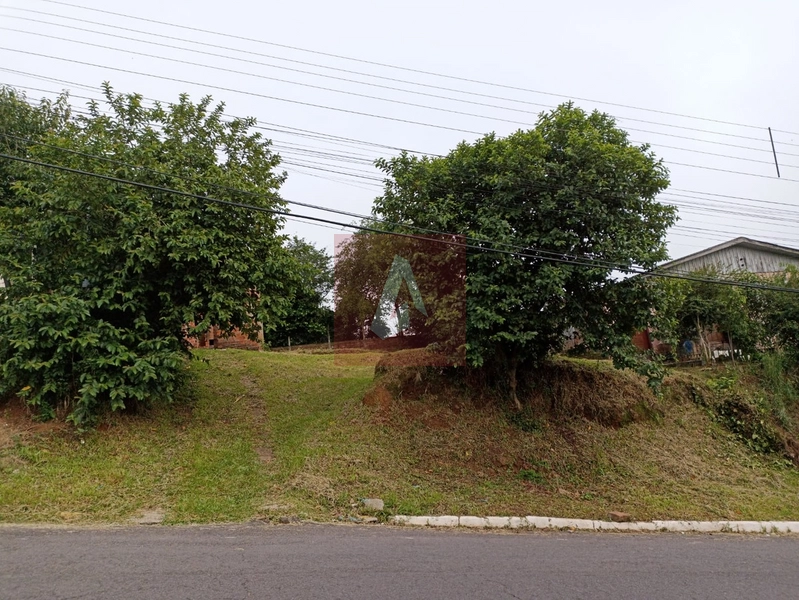 Terreno em sapiranga: 1ª foto da galeria de imagens do imóvel