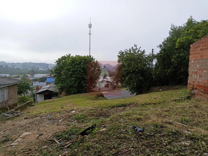 Terreno em sapiranga: 4ª foto da galeria de imagens do imóvel