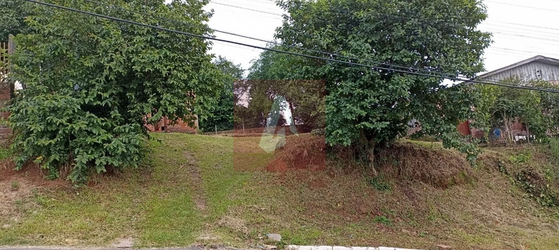 Terreno em sapiranga: 2ª foto da galeria de imagens do imóvel