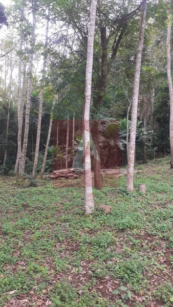Chácara em sapiranga: 6ª foto da galeria de imagens do imóvel