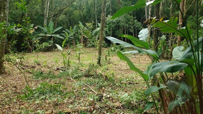 Propriedade de 12 hectare á venda em Sapiranga: 1ª foto da galeria de imagens do imóvel