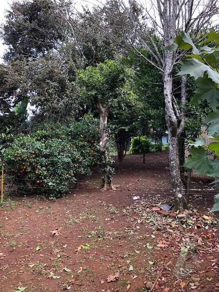Chácara á venda em Sapiranga: 2ª foto da galeria de imagens do imóvel