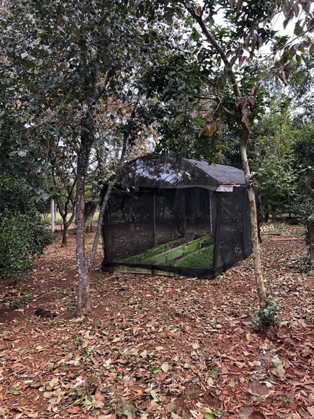 Chácara á venda em Sapiranga: 3ª foto da galeria de imagens do imóvel