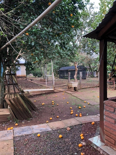 Chácara á venda em Sapiranga: 5ª foto da galeria de imagens do imóvel