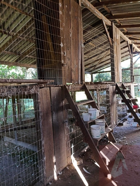 Chácara em Sapiranga: 23ª foto da galeria de imagens do imóvel