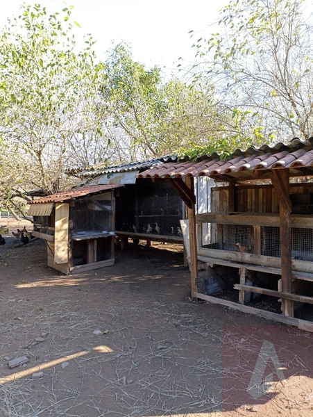 Chácara em Sapiranga: 27ª foto da galeria de imagens do imóvel