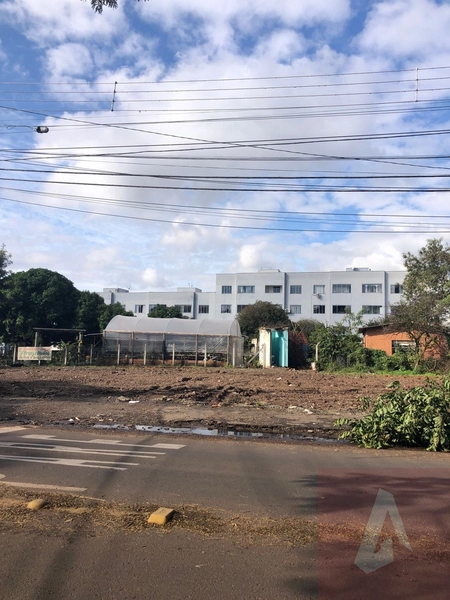 Terreno para alugar em Sapiranga: 2ª foto da galeria de imagens do imóvel