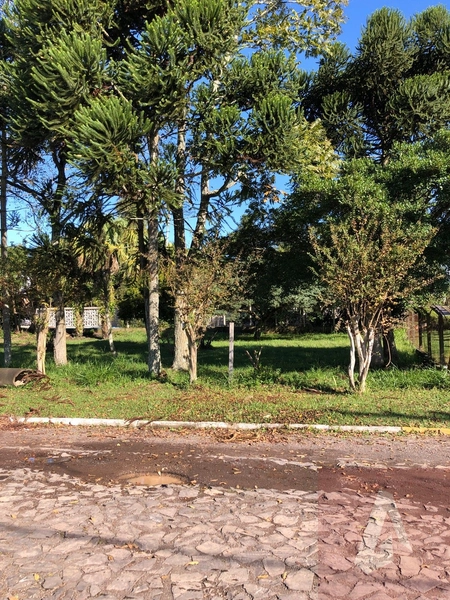 Terreno á venda em Araricá: 1ª foto da galeria de imagens do imóvel