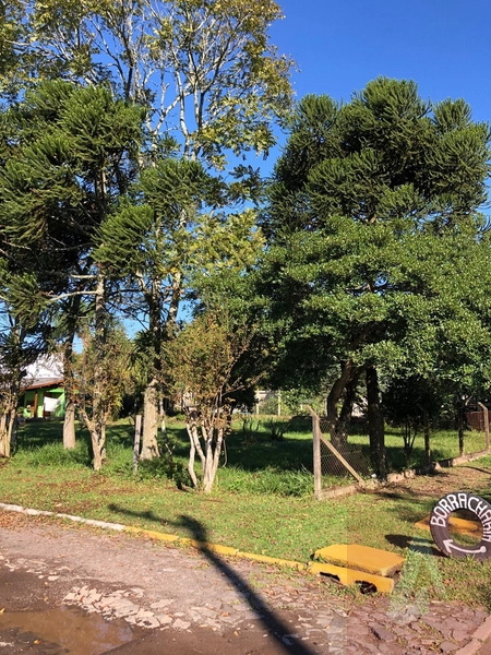 Terreno á venda em Araricá: 2ª foto da galeria de imagens do imóvel