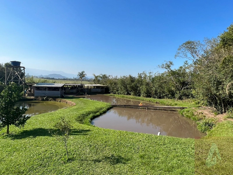 Sítio à venda - Zona Urbana/Araricá: 14ª foto da galeria de imagens do imóvel