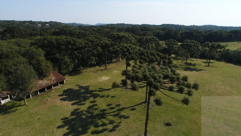 Área de terras em Gramado: 1ª foto da galeria de imagens do imóvel