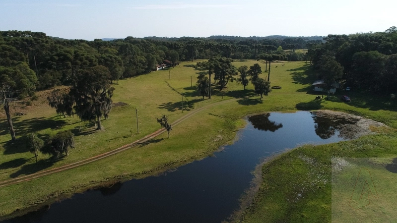 Área de terras em Gramado: 4ª foto da galeria de imagens do imóvel