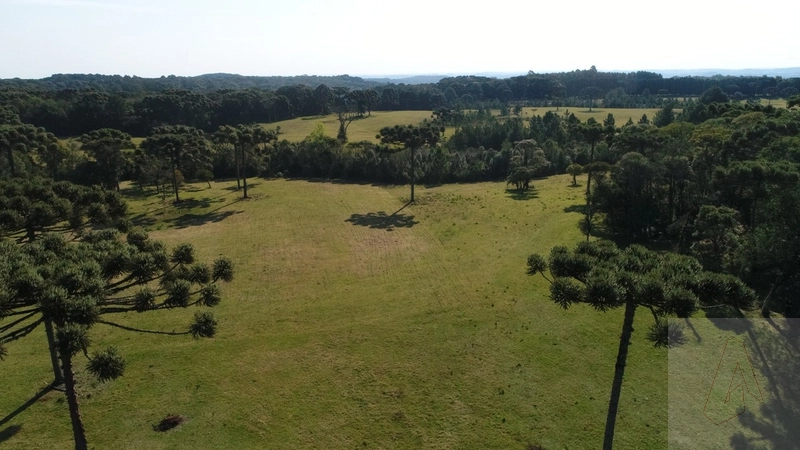 Área de terras em Gramado: 7ª foto da galeria de imagens do imóvel