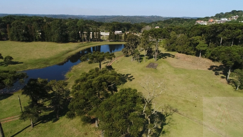 Área de terras em Gramado: 9ª foto da galeria de imagens do imóvel