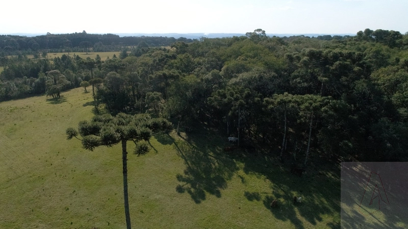 Área de terras em Gramado: 11ª foto da galeria de imagens do imóvel