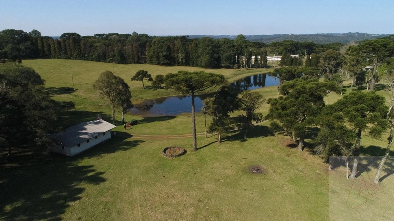 Área de terras em Gramado: 6ª foto da galeria de imagens do imóvel