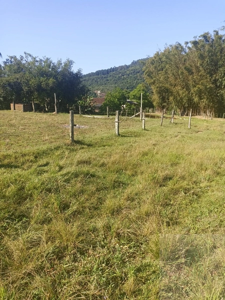 Chácara à venda em Sapiranga: 13ª foto da galeria de imagens do imóvel