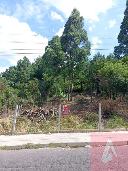 Terreno à venda em Sapiranga: 4ª foto da galeria de imagens do imóvel