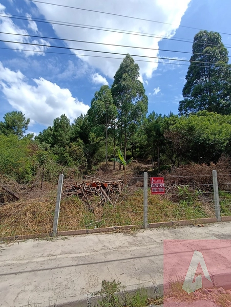 Terreno à venda em Sapiranga: 2ª foto da galeria de imagens do imóvel