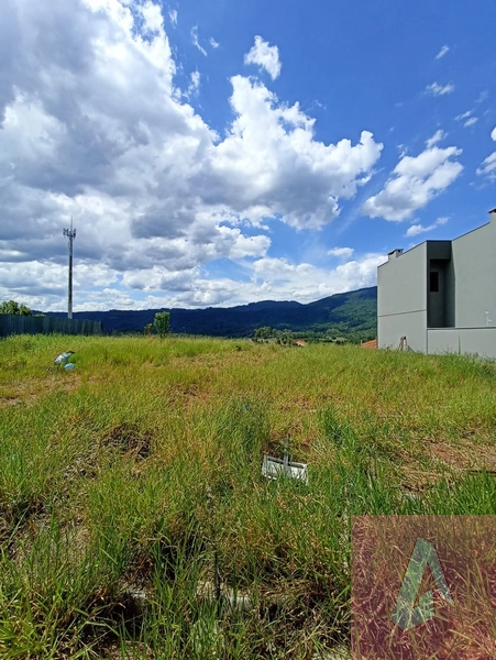 Terreno a Vendo em Sapiranga: 4ª foto da galeria de imagens do imóvel