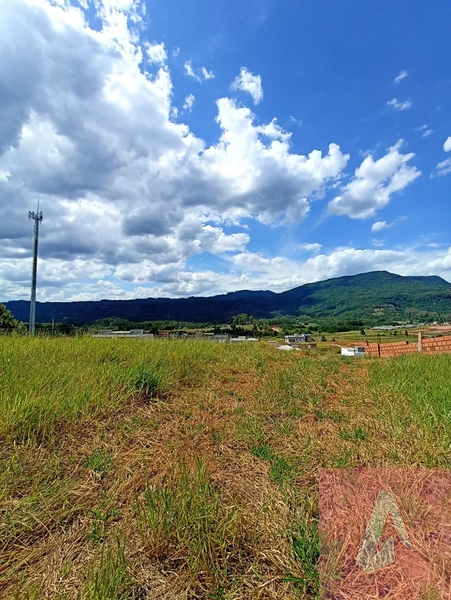 Terreno a Vendo em Sapiranga: 1ª foto da galeria de imagens do imóvel