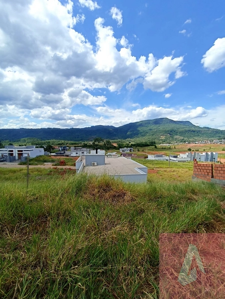 Terreno a Vendo em Sapiranga: 3ª foto da galeria de imagens do imóvel