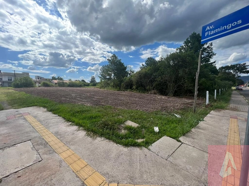 Terreno à venda em Sapiranga.: 1ª foto da galeria de imagens do imóvel