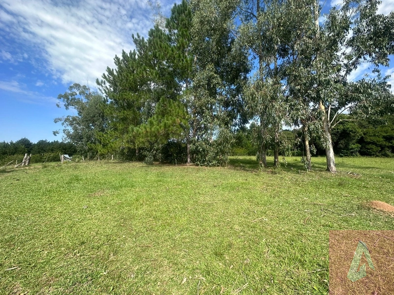 : 2ª foto da galeria de imagens do imóvel