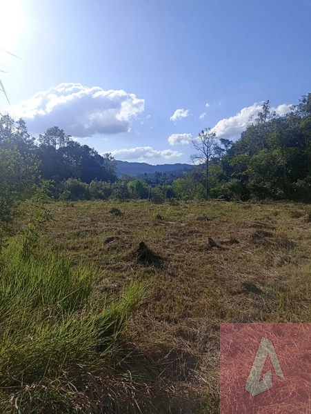 Chácara em Sapiranga: 4ª foto da galeria de imagens do imóvel