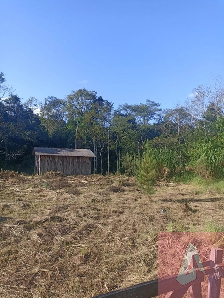 Chácara em Sapiranga: 1ª foto da galeria de imagens do imóvel