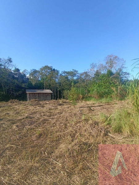 Chácara em Sapiranga: 3ª foto da galeria de imagens do imóvel