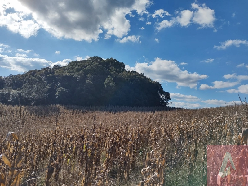 Área de 15,0 hectares de terras na zona rural de Sapiranga RS: 1ª foto da galeria de imagens do imóvel